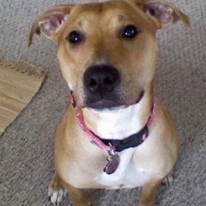 Meet your Posher, Desiree